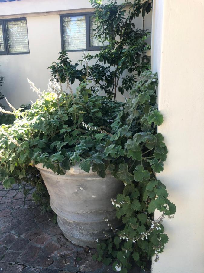 Ferienwohnung Just A Bed Stellenbosch Exterior foto
